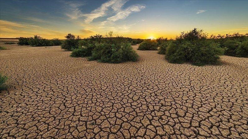 citations changement climatique