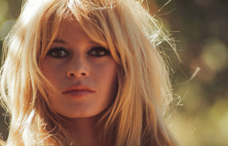 citations brigitte bardot