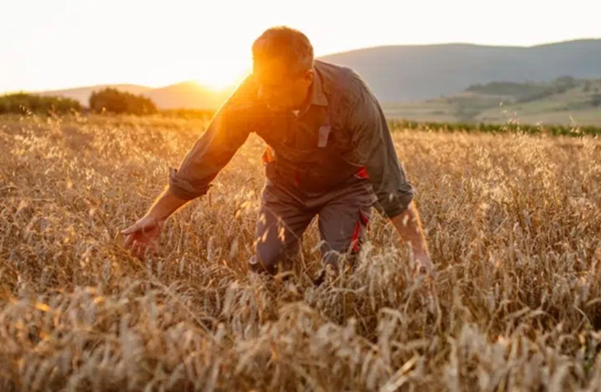 citations sur les agriculteurs