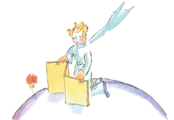 citations du Petit prince sur la rose