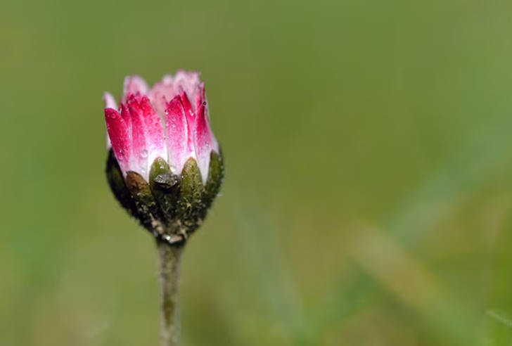 citations sur la réalisation de soi